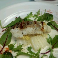 マーサーブランチ テラスハウス - 