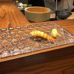 鮨 最上 - 車エビ《特上 季節のおまかせコース内》【令和元年11月18日撮影】