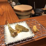 鮨 最上 - 《特上 季節のおまかせコース内》【令和元年11月18日撮影】