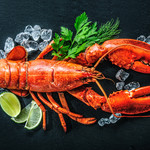 EBIZO - 3ポンドロブスター