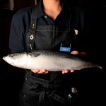 さば料理専門店 SABAR＋ 栄店