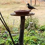 くつきそば 永昌庵 - 