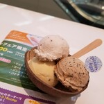 ココナッツグレン 表参道店 - 