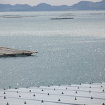 海宝 - 店内からの景色（海）