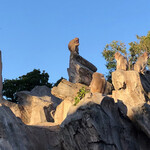 上野動物園 プチカメレオン - 