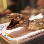 獣肉酒家 米とサーカス - ヤモリの丸揚げ