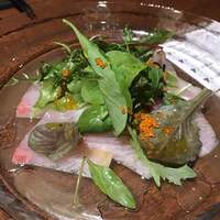 クインチチェントラーレ - 