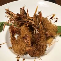 クインチチェントラーレ - 