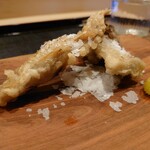 津の守坂 小柴 - 