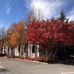 レストランテ 風 - 外観