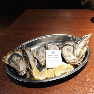 gigas Oyster Spot Bar_0