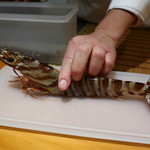 日本料理 幸庵 - ご主人自ら活き車海老のプレゼンテーション