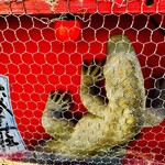 餃子荘 紅蜥蜴 - ここで待ち構えるのは紅蜥蜴…というか大トカゲ