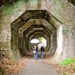 木香里 - はっかくとんねる