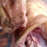 勝しん - 今回は食べきれず見送った８キロのあら