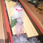 活イカお造り！