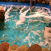河太郎 中洲本店 - 生け簀は3か所あるそうです