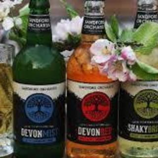 ウォーリアケルト_0