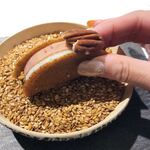 ラ・ヴァガボンド - 