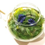 ラ・ヴァガボンド - 