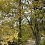 草庵 - お店周り