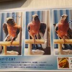 珈琲と鳩時計の店ロンドベル - 