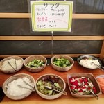 能勢温泉 - ランチバイキングサラダコーナー