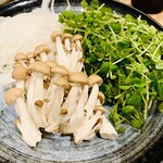 三代目 鳥メロ - 