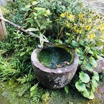 地鶏焼 ふかせ - 