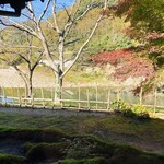 地鶏焼 ふかせ - 