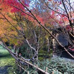 地鶏焼 ふかせ - 