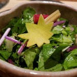 日本焼肉はせ川 - 早採り野菜のはせ川サラダ