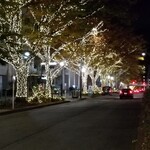 日本焼肉はせ川 - 表参道のイルミネーション