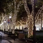 日本焼肉はせ川 - 表参道のイルミネーション