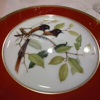 レストラン 桂姫 - 