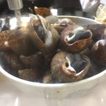 登紀 - 