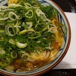 Marugame Seimen - 