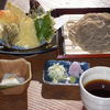 樹の里 - 料理写真:天ざるそば