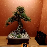 江戸前肉割烹 宮下 - 