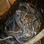 鰻家 - うなぎ 上(鹿児島産)