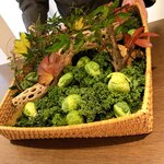 AMOUR - 芽キャベツの収穫