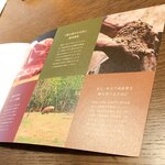 AMOUR - マンガリッツァ豚のパンフレット
      マイレビ様「羊みたい」
      本当に体にいっぱい毛が生えてモコモコです^ - ^
      何十年前、初めて梅山豚の写真を見たときと同じ位の衝撃度