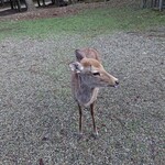 江戸三 - しか♪