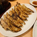 餃子食堂マルケン - マルケン餃子トリプル(15個)