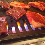 とりよし - はらみ