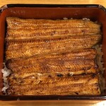 鰻はし本 - 横山さんの鰻の鰻重ろ