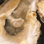 ボラーチョ - カキのコキュール
      ホワイトソースの下からは大きな牡蠣と牡蠣エキス！！