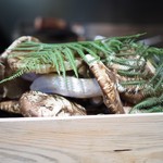 やまぐち - 松茸さま