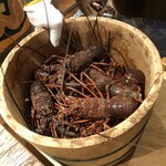 食遊人 - 伊勢海老がこれでもかとばかり入ってます。