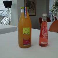 L'ORANGERIE - 